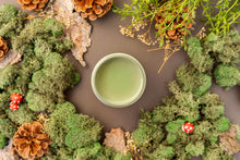Load image into Gallery viewer, Weeping Willow Chalk Mineral Paint | Dixie Belle Paint Co.