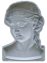 Load image into Gallery viewer, PERSEPHONE 5X7  | IOD DECOR MOULDS™