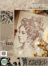 Load image into Gallery viewer, CHARLOTTE  | IOD 12×12 DECOR STAMP™