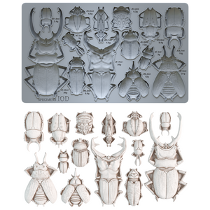 SPECIMENS | IOD DECOR MOULDS™