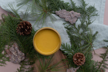 Load image into Gallery viewer, Silk Mineral Paint Yellowstone | Dixie Belle Paint Co.