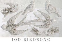 Load image into Gallery viewer, BIRDSONG | IOD DECOR MOULDS™