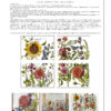 Botanist’s Journal NEW FORMAT! | IOD DECOR TRANSFER 12