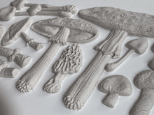 Load image into Gallery viewer, TOADSTOOL | IOD DECOR MOULDS™