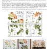 Flora Parisiensis NEW FORMAT! | IOD DECOR TRANSFER 12 X 16 PAD™