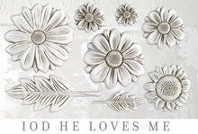 Load image into Gallery viewer, HE LOVES ME | IOD DECOR MOULDS™