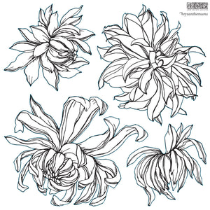Chrysanthemum | IOD 12×12 DECOR STAMP™