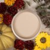 Load image into Gallery viewer, Dixie Belle FALL COLORS | Dixie Belle Paint Co.