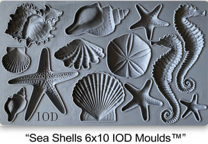 Sea Shells | IOD Moulds